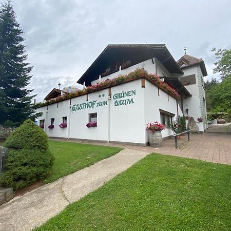 Albero Verde Верано Экстерьер фото