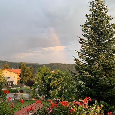 Albero Verde Верано Экстерьер фото